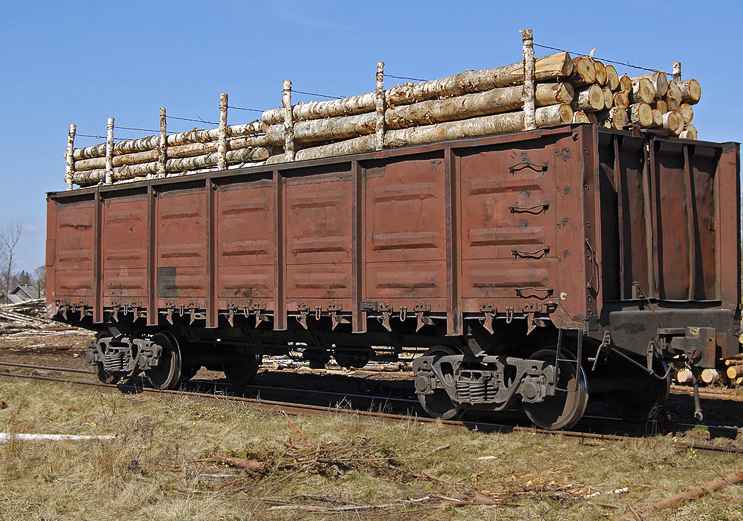 Перевозка ЛЕСА вагонами из Моршанска в Тамбова